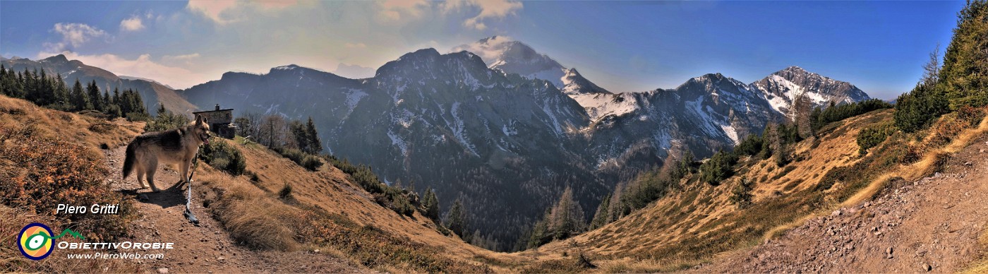 12 Sul sent. 217 in Monte Campo con vista in Corno Branchino-Corna Piana-Arera al centro e  Pizzo di Roncobello a dx.jpg
